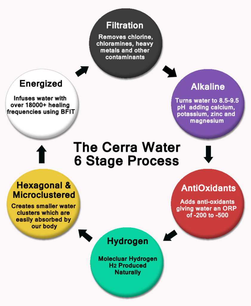 Cerra Alkaline Water Filter Review Scalar Energy Product Review